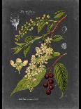 Custom Midnight Botanical II (R)-Vision Studio-Art Print