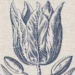 Vintage Teal Seaweed I-Vision Studio-Art Print