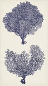 Indigo Seafans II by Vision Studio