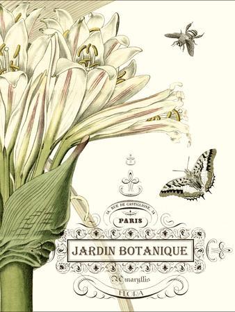 Vintage Botanical Prints: Illustrations, Posters & Wall Art | Poster