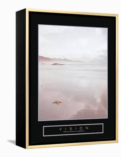 Vision-null-Framed Stretched Canvas