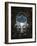 Visions II-Craig Snodgrass-Framed Giclee Print