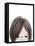 Visions of Hair Style II-Anna Quach-Framed Stretched Canvas
