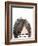 Visions of Hair Style II-Anna Quach-Framed Art Print