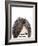 Visions of Hair Style II-Anna Quach-Framed Art Print