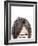 Visions of Hair Style II-Anna Quach-Framed Art Print