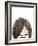 Visions of Hair Style II-Anna Quach-Framed Art Print