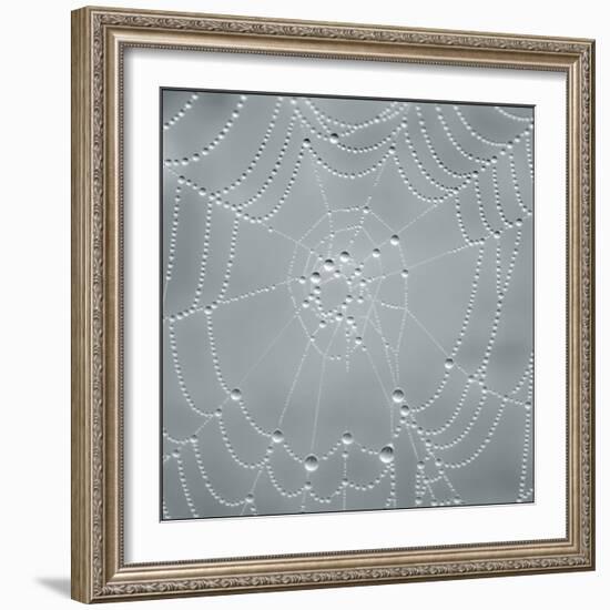 Visions of Nature-Adrian Campfield-Framed Photographic Print