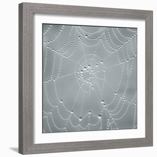 Visions of Nature-Adrian Campfield-Framed Photographic Print