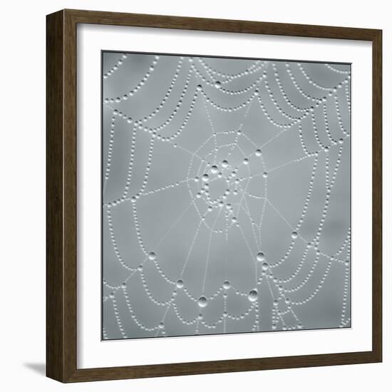 Visions of Nature-Adrian Campfield-Framed Photographic Print