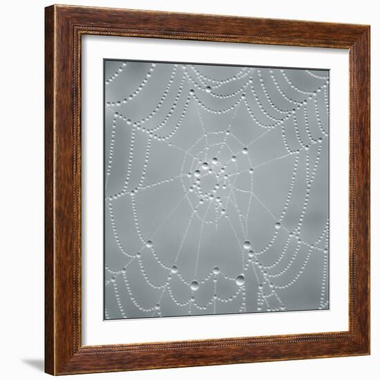 Visions of Nature-Adrian Campfield-Framed Photographic Print