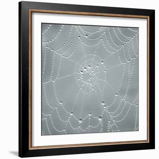 Visions of Nature-Adrian Campfield-Framed Photographic Print