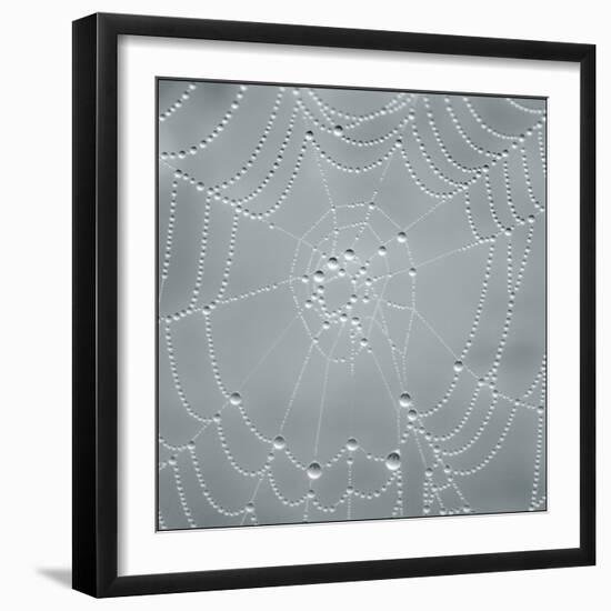 Visions of Nature-Adrian Campfield-Framed Photographic Print