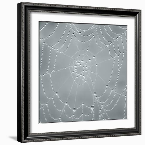 Visions of Nature-Adrian Campfield-Framed Photographic Print