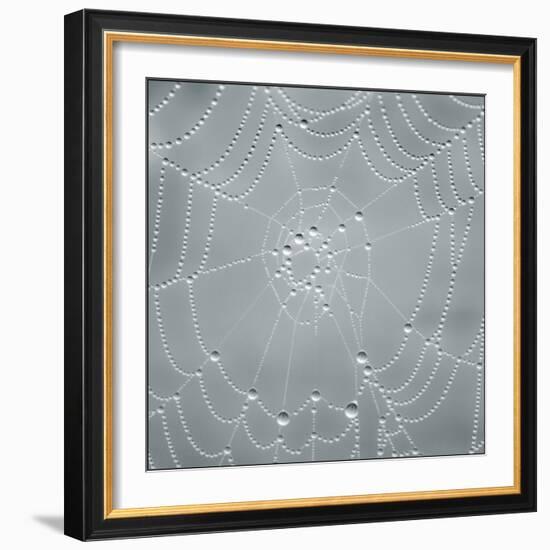 Visions of Nature-Adrian Campfield-Framed Photographic Print