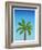 Visit Hawaii (minimalist)-The Saturday Evening Post-Framed Giclee Print