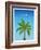 Visit Hawaii (minimalist)-The Saturday Evening Post-Framed Giclee Print