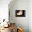 Visit India-null-Framed Stretched Canvas displayed on a wall