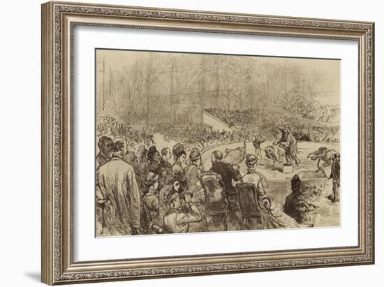 Visit of the Prince and Princess of Wales and the King and Queen of Greece, 1876-null-Framed Giclee Print