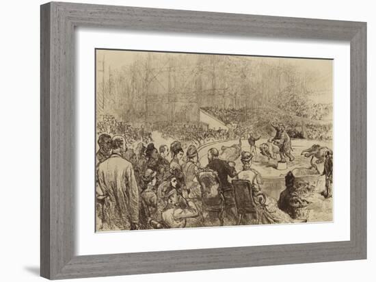 Visit of the Prince and Princess of Wales and the King and Queen of Greece, 1876-null-Framed Giclee Print