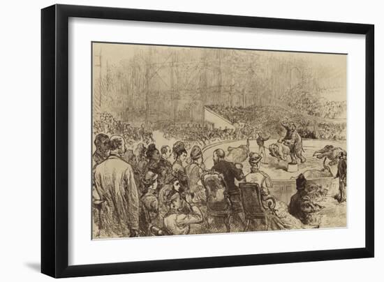 Visit of the Prince and Princess of Wales and the King and Queen of Greece, 1876-null-Framed Giclee Print