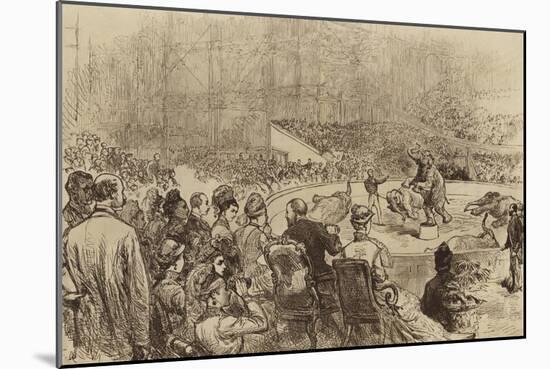 Visit of the Prince and Princess of Wales and the King and Queen of Greece, 1876-null-Mounted Giclee Print