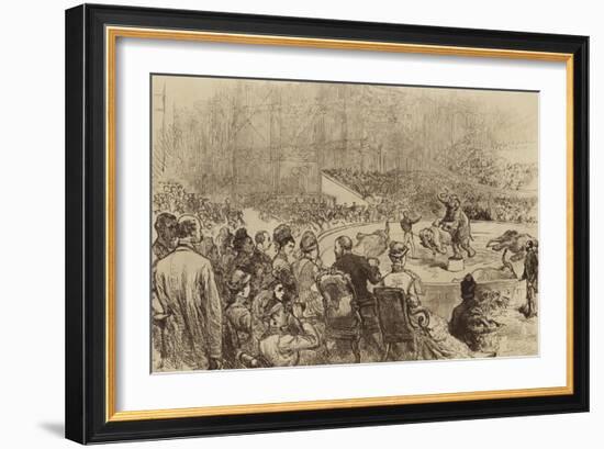 Visit of the Prince and Princess of Wales and the King and Queen of Greece, 1876-null-Framed Giclee Print