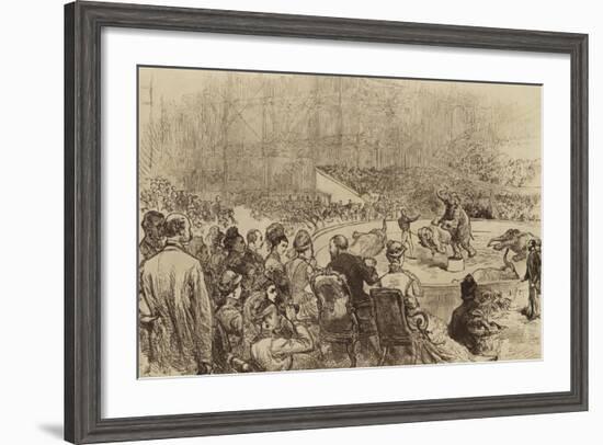 Visit of the Prince and Princess of Wales and the King and Queen of Greece, 1876-null-Framed Giclee Print