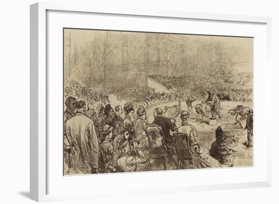 Visit of the Prince and Princess of Wales and the King and Queen of Greece, 1876-null-Framed Giclee Print