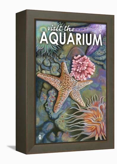 Visit the Aquarium, Tidepool Scene-Lantern Press-Framed Stretched Canvas