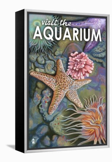 Visit the Aquarium, Tidepool Scene-Lantern Press-Framed Stretched Canvas