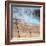 Visit The Grand Prismatic, Yellowstone-Vincent James-Framed Photographic Print