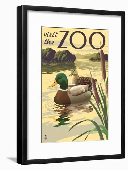 Visit the Zoo, Mallard Ducks Scene-Lantern Press-Framed Art Print