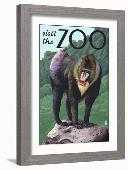 Visit the Zoo, Mandrill Scene-Lantern Press-Framed Premium Giclee Print