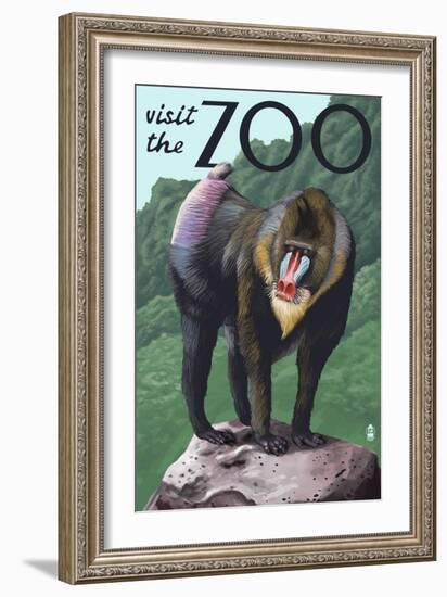 Visit the Zoo, Mandrill Scene-Lantern Press-Framed Art Print