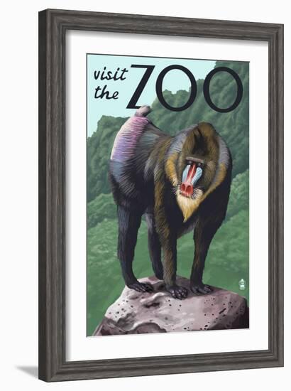 Visit the Zoo, Mandrill Scene-Lantern Press-Framed Art Print