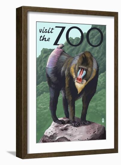 Visit the Zoo, Mandrill Scene-Lantern Press-Framed Art Print