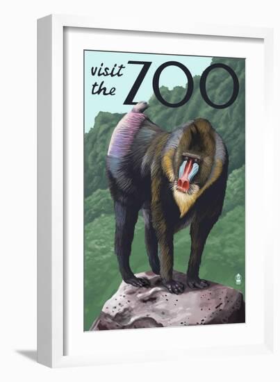 Visit the Zoo, Mandrill Scene-Lantern Press-Framed Art Print