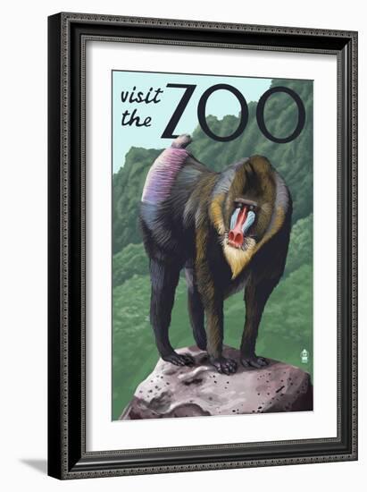 Visit the Zoo, Mandrill Scene-Lantern Press-Framed Art Print