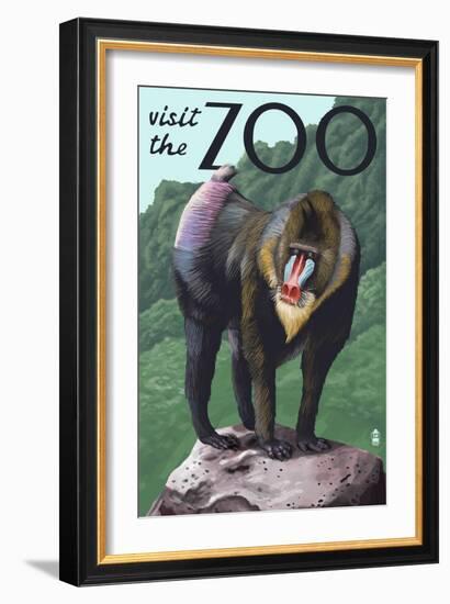 Visit the Zoo, Mandrill Scene-Lantern Press-Framed Art Print