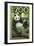 Visit the Zoo, Panda Bear Scene-Lantern Press-Framed Premium Giclee Print