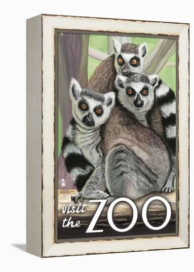 Visit the Zoo, Ring Tailed Lemurs-Lantern Press-Framed Stretched Canvas