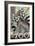 Visit the Zoo, Ring Tailed Lemurs-Lantern Press-Framed Premium Giclee Print