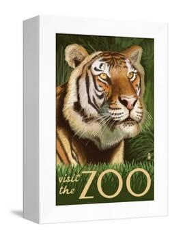 Visit the Zoo, Sumatran Tiger Scene-Lantern Press-Framed Stretched Canvas