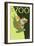 Visit the Zoo, Tree Frog Scene-Lantern Press-Framed Premium Giclee Print