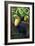 Visit the Zoo, Tucan Scene-Lantern Press-Framed Premium Giclee Print