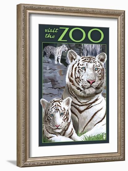 Visit the Zoo - White Tiger Family-Lantern Press-Framed Art Print