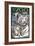 Visit the Zoo - White Tiger Family-Lantern Press-Framed Art Print