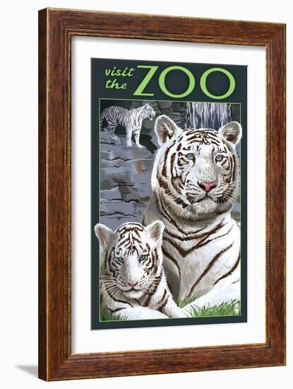 Visit the Zoo - White Tiger Family-Lantern Press-Framed Art Print