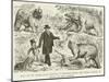 Visit to the Antediluvian Reptiles at Sydenham-Master Tom Strongly Objects to Having His Mind…-John Leech-Mounted Giclee Print